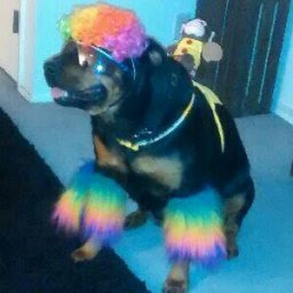 Meet your Posher, James - Picture 1 of 1